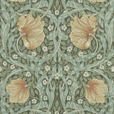 Pimpernel - 216856