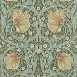 Pimpernel - 216856