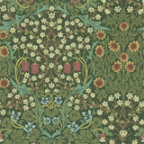 Blackthorn - 216857