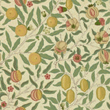 Fruit - 216859