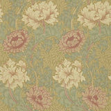 Chrysanthemum - 216860