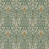 Snakeshead - 216863