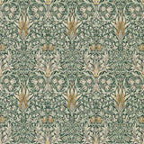 Snakeshead - 216863