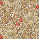 Golden Lily - 216869