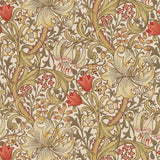 Golden Lily - 216869