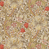 Golden Lily - 216869