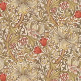 Golden Lily - 216869