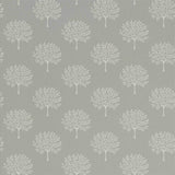 Marcham Tree - 216901