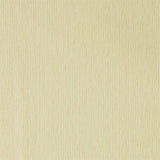 Caspian Strie - 216913