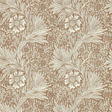 Marigold - 216955