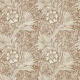 Marigold - 216955