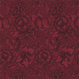 Poppy - 216956