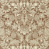 Sunflower - 216961