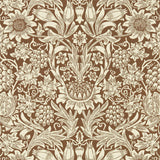 Sunflower - 216961