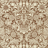Sunflower - 216961