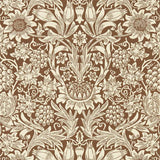 Sunflower - 216961