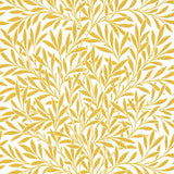 Willow - 216963