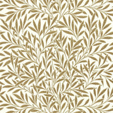 Willow - 216965