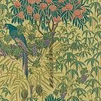 Macaw - Vivid Yellow Wallpaper