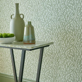 Ornamental Grasses - Sage Green Wallpaper