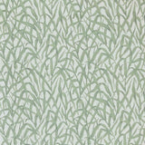 Ornamental Grasses - Sage Green Wallpaper