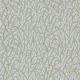 Ornamental Grasses - Natural Wallpaper