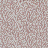 Ornamental Grasses - Rose Pink Wallpaper