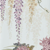 Wisteria Bloom - Heather Wall Mural