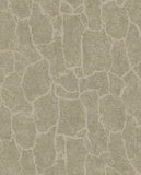 Skin - 300532