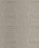 Skin - 300570