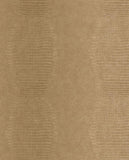 Skin - 300571