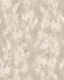 Skin - 300580