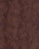 Skin - 300583