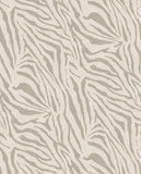 Skin - 300600