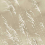 Waterfront - 300900