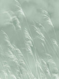 Waterfront - 300901