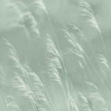 Waterfront - 300901