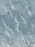 Waterfront - 300902