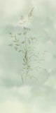 Waterfront - 300904