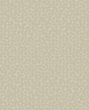 Artifact - 312441