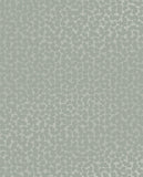 Artifact - 312442