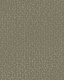 Artifact - 312443