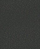 Artifact - 312445