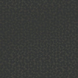 Artifact - 312445