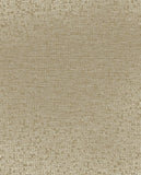 Artifact - 312452