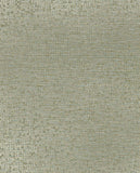 Artifact - 312454