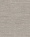 Canvas - 313500