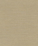 Canvas - 313501