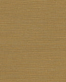 Canvas - 313502