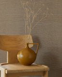 Canvas - 313503